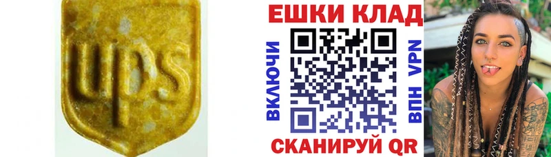 Ecstasy Philipp Plein  сайты даркнета состав  Чебоксары 