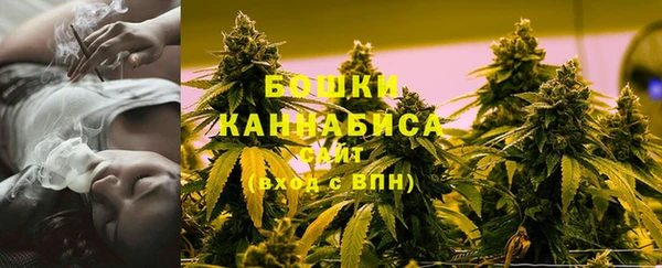 эйфоретик Горняк